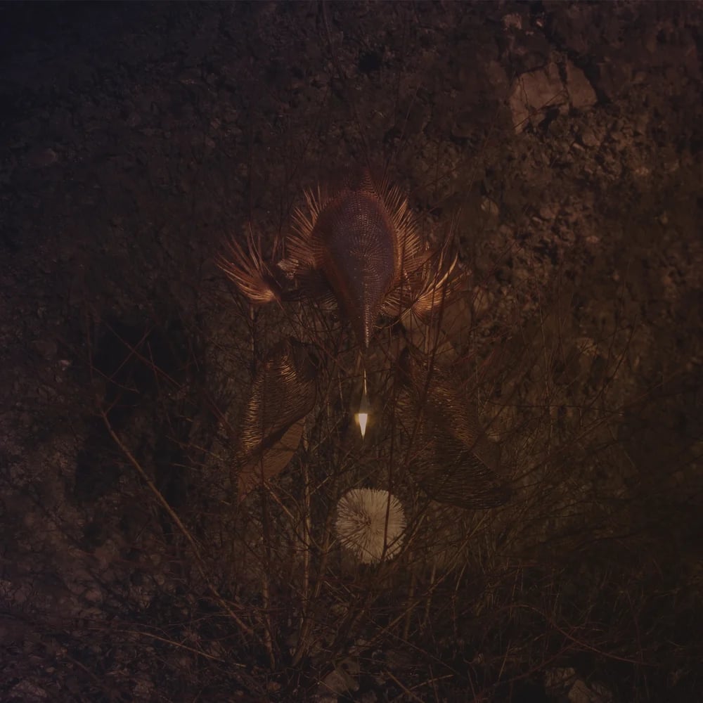 BongBongBeerWizards - Ampire (damaged)