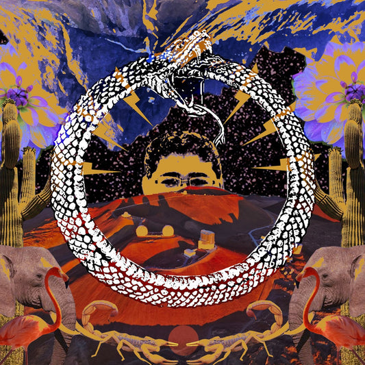 STONE HOUSE ON FIRE - NEVERENDING CYCLE BLACK VINYL