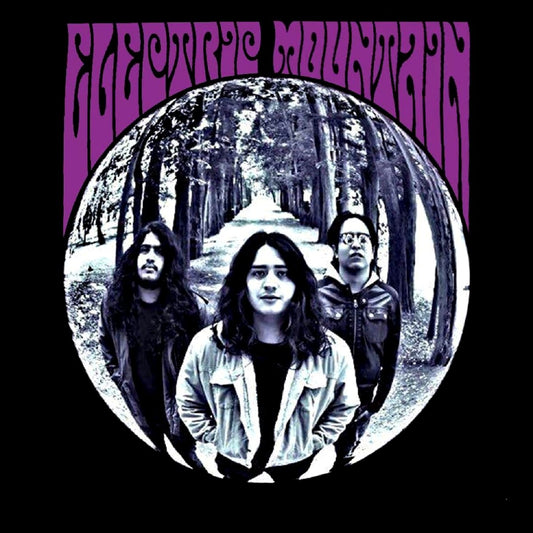 ELECTRIC MOUNTAIN - ELECTRIC MOUNTAIN Ltd Trasparent Purple Vinyl