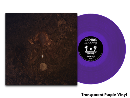 BongBongBeerWizards - Ampire - 12"